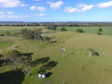 Farm Sold - NSW - Tatham - 2471 - OPPORTUNITY KNOCKS BUT ONCE  (Image 2)