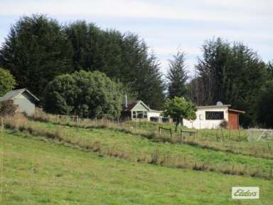 Farm Sold - TAS - Lower Wilmot - 7310 - COTTAGE ON 10.85 HECTARES (27 ACRES)  (Image 2)