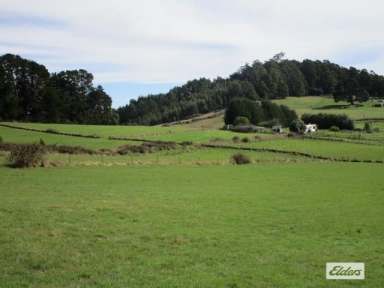 Farm Sold - TAS - Lower Wilmot - 7310 - COTTAGE ON 10.85 HECTARES (27 ACRES)  (Image 2)