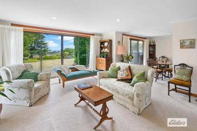 Farm Sold - TAS - Somerset - 7322 - ELEGANT COUNTRY CLASSIC  (Image 2)