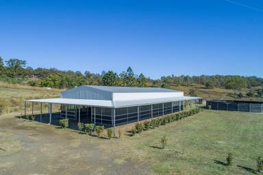 Farm Sold - QLD - Innisplain - 4285 - Premier 22 Acre Horse Complex with Homesite Scenic Rim  (Image 2)
