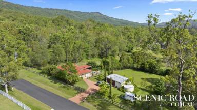 Farm Sold - QLD - Canungra - 4275 - Gorgeous 2 Acre Farm with Endless Springwater  (Image 2)