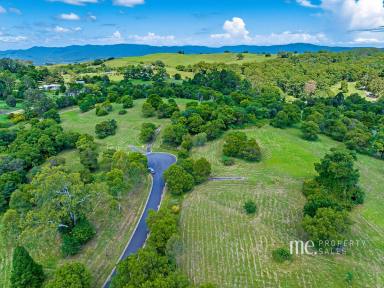 Farm Sold - QLD - Ocean View - 4521 - 5 Acres - Land Only - No Covenant  (Image 2)