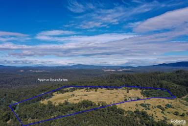 Farm Sold - TAS - Buckland - 7190 - Spectacular and tranquil farm with so much more  (Image 2)