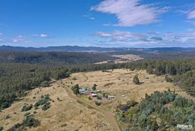 Farm Sold - TAS - Buckland - 7190 - Spectacular and tranquil farm with so much more  (Image 2)
