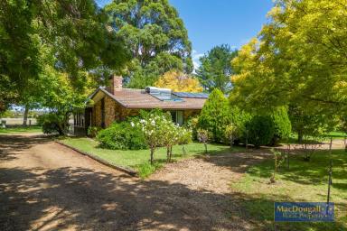 Farm For Sale - NSW - Armidale - 2350 - 10 hectares, 4 bedrooms, 10 minutes to town, space to expand or enjoy what’s here now.  (Image 2)