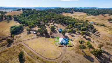 Farm For Sale - NSW - Culcairn - 2660 - Master Built Homestead With Magnificent Views  (Image 2)