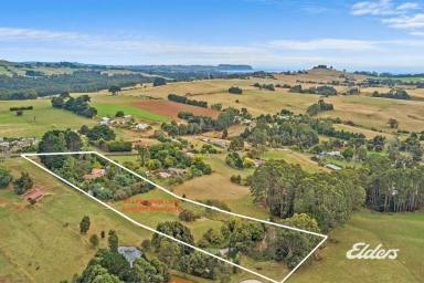 Farm Sold - TAS - Somerset - 7322 - PEACEFUL AND PRIVATE SPANISH RETREAT  (Image 2)
