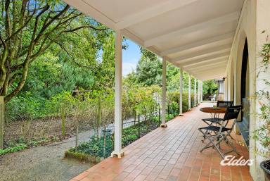Farm Sold - TAS - Somerset - 7322 - PEACEFUL AND PRIVATE SPANISH RETREAT  (Image 2)
