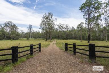 Farm Sold - NSW - Fortis Creek - 2460 - 122 Acres Just 15 Mins To Town  (Image 2)