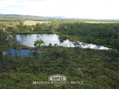 Farm For Sale - QLD - Dimbulah - 4872 - OFF-GRID ENTRY LEVEL FARMING OPPORTUNITY  (Image 2)