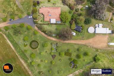 Farm Sold - WA - Capel River - 6271 - KLOUD 9 RIVER ESTATE, CAPEL RIVER - Under Contract  (Image 2)