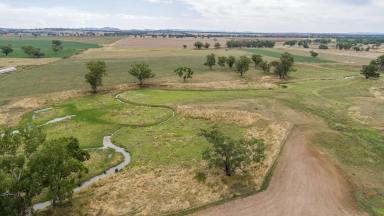 Farm For Sale - NSW - Tamworth - 2340 - Rare 415 Acre Mixed Farming In Blue Ribbon District Of Loomberah  (Image 2)