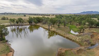 Farm For Sale - NSW - Tamworth - 2340 - Rare 415 Acre Mixed Farming In Blue Ribbon District Of Loomberah  (Image 2)