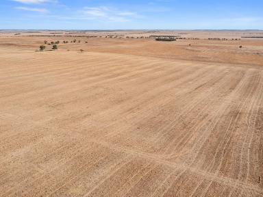 Farm Sold - SA - Copeville - 5308 - Grazing or Cropping at Copeville  (Image 2)