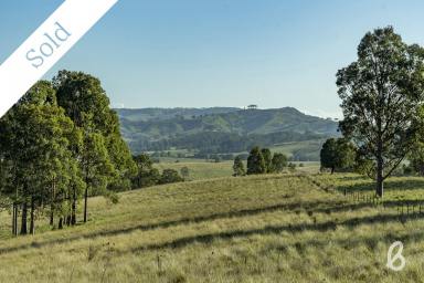 Farm Sold - NSW - Glendon Brook - 2330 - STUNNING RURAL BLANK CANVAS | 40 Ha (100 Acres)  (Image 2)