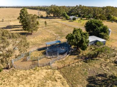 Farm Sold - NSW - Mangoplah - 2652 - Exclusive Riverina District Production & Lifestyle Property  (Image 2)