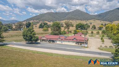 Farm For Sale - VIC - Dederang - 3691 - The Cream of the Country  (Image 2)