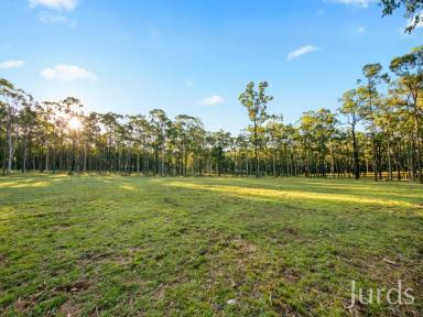 Farm Sold - NSW - Sawyers Gully - 2326 - PRIVATE 10 ACRES TO BUILD YOUR DREAM HOME  (Image 2)