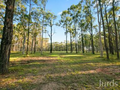 Farm Sold - NSW - Sawyers Gully - 2326 - PRIVATE 10 ACRES TO BUILD YOUR DREAM HOME  (Image 2)