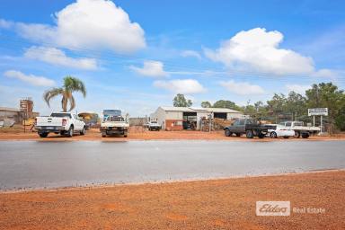 Farm For Sale - WA - Collie - 6225 - WHAT AN OPPURTUNITY TO INVEST??  (Image 2)