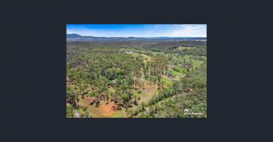 Farm For Sale - QLD - Bondoola - 4703 - 25 Acres The Ultimate Rural Lifestyle Property  (Image 2)