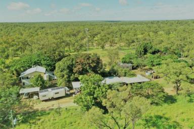 Farm Sold - QLD - Charters Towers - 4820 -  Well located cattle breeding property set up for extremely low-cost beef production  (Image 2)