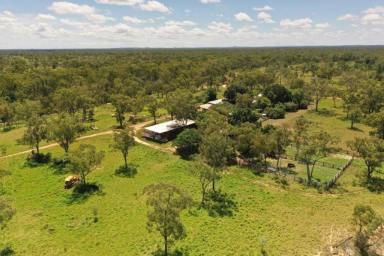 Farm Sold - QLD - Charters Towers - 4820 -  Well located cattle breeding property set up for extremely low-cost beef production  (Image 2)