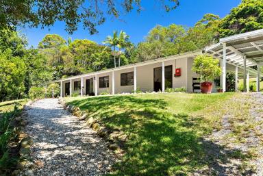 Farm Sold - QLD - Forest Glen - 4556 - 'Warrawong' - A Welcoming Homestead in an Exclusive Locale  (Image 2)
