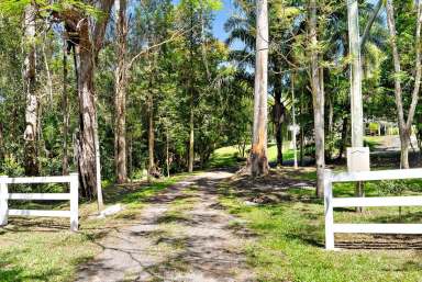 Farm Sold - QLD - Forest Glen - 4556 - 'Warrawong' - A Welcoming Homestead in an Exclusive Locale  (Image 2)