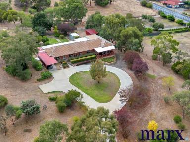 Farm Sold - SA - Penrice - 5353 - Lifestyle property with stunning views in Angaston - Penrice…..  (Image 2)