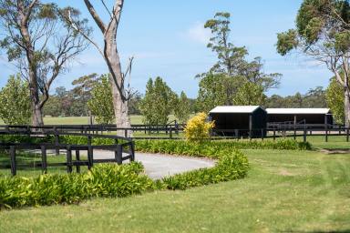 Farm Sold - NSW - Robertson - 2577 - 'Ridgeview' - An Equestrian's Dream Come True  (Image 2)