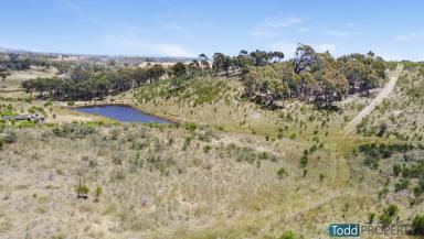 Farm For Sale - VIC - Tooborac - 3522 - SECLUDED WITH BREATHTAKING VIEWS  (Image 2)