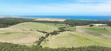 Farm Sold - VIC - Port Campbell - 3269 - ATTRACTIVE PORT CAMPBELL COUNTRY  (Image 2)