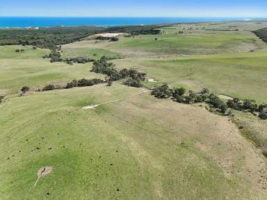 Farm Sold - VIC - Port Campbell - 3269 - ATTRACTIVE PORT CAMPBELL COUNTRY  (Image 2)