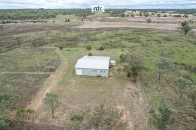 Farm Sold - NSW - Inverell - 2360 - SPACE, PEACE & QUIET  (Image 2)