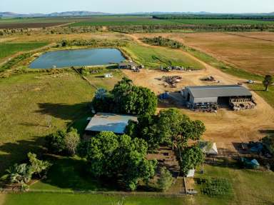 Farm For Sale - WA - Kununurra - 6743 - BROAD ACRE IRRIGATION     -   ORD RIVER  (Image 2)