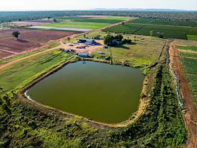 Farm For Sale - WA - Kununurra - 6743 - BROAD ACRE IRRIGATION     -   ORD RIVER  (Image 2)