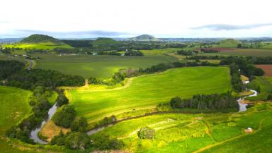 Farm For Sale - QLD - East Barron - 4883 - Mixed Farming Opportunity  (Image 2)