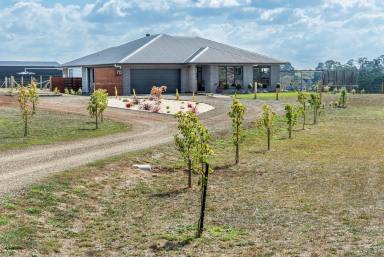 Farm Sold - VIC - Hamilton - 3300 - Outstanding lifestyle property  (Image 2)