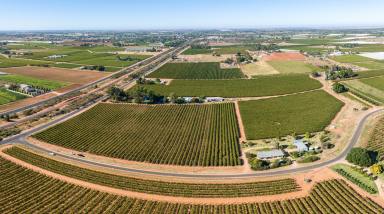 Farm Sold - VIC - Red Cliffs - 3496 - Ready and Producing  (Image 2)