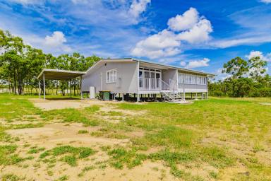 Farm Sold - QLD - Southern Cross - 4820 - BEAUTIFULLY RENOVATED 4 BEDROOM 2 BATHROOM HOME ON LIFESTYLE ACREAGE  (Image 2)