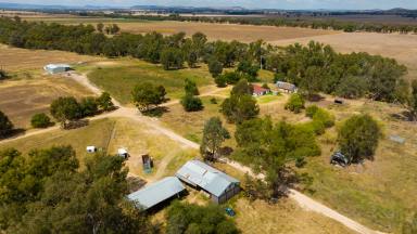 Farm For Sale - NSW - Walbundrie - 2642 - Double Frontage To The Billabong Creek- Lifestyle & Location.  (Image 2)