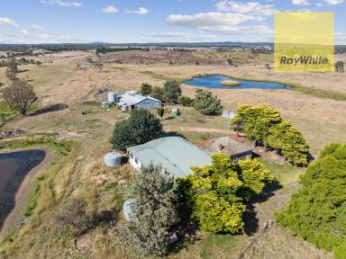Farm Sold - NSW - Goulburn - 2580 - Perfect lifestyle and grazing property  (Image 2)