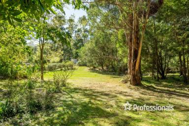 Farm Sold - VIC - Don Valley - 3139 - "CURRAGUNDI" 4 acres approx  (Image 2)