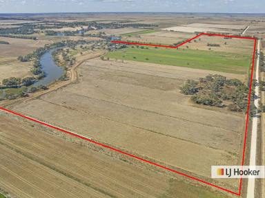 Farm For Sale - VIC - Echuca - 3564 - Now This is Living - With Options !  (Image 2)