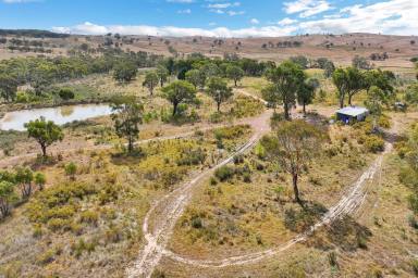 Farm For Sale - NSW - Kerrs Creek - 2800 - 300AC* PRODUCTIVE CATTLE GRAZING & LIFESTYLE GETAWAY WITH CREEK FRONTAGE!  (Image 2)