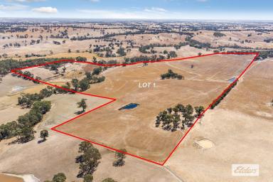Farm Sold - VIC - Mia Mia - 3444 - Cropping, Grazing and Lifestyle  (Image 2)