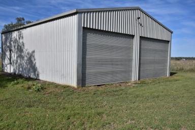 Farm Sold - QLD - Wyreema - 4352 - Harrow Lea
Unique Acreage opportunity, Purchase as a whole or individually  (Image 2)