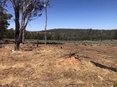 Farm Sold - WA - Perup - 6258 - PERUP - MANJIMUP  (Image 2)